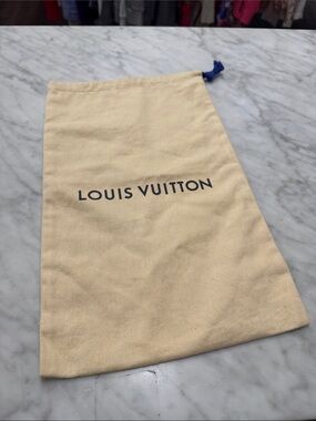 Louis Vuitton Single Sleeper/Storage Bag